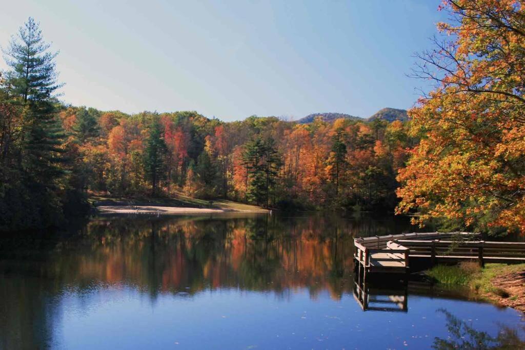 Bluebirds Nest 10 Min To Avl Biltmore Hot Tub Cont Bkfst Sparkling Water Asheville Exteriér fotografie