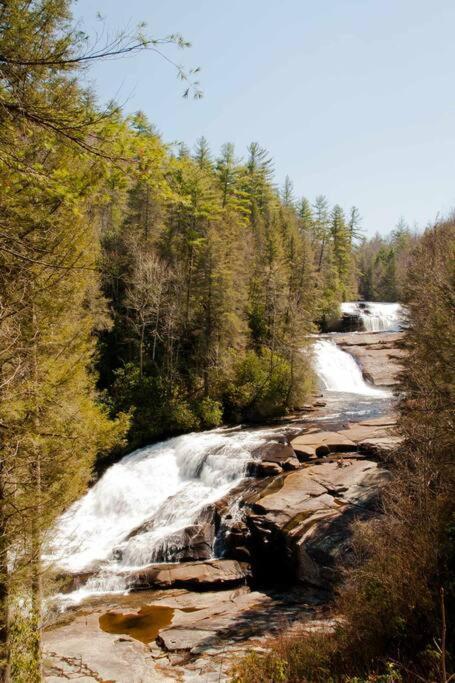 Bluebirds Nest 10 Min To Avl Biltmore Hot Tub Cont Bkfst Sparkling Water Asheville Exteriér fotografie
